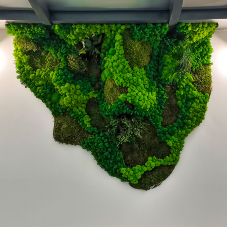 Panou decorativ cu muschi si licheni, volumetric   - "Conexiune si vigoare " [1]