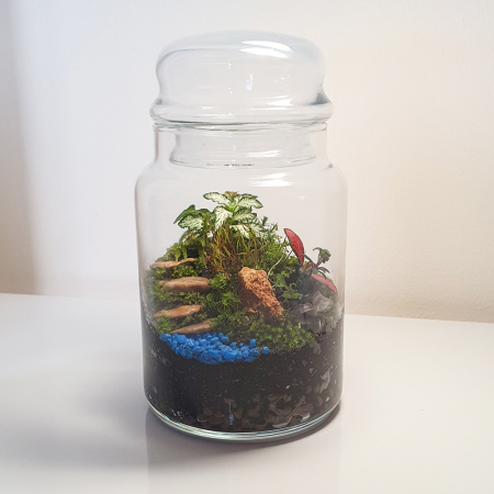 Terariu în vas de sticlă peisaj natural "Stairway to Heaven" [0]