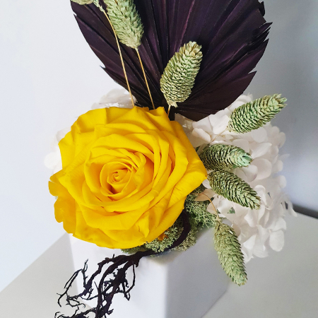 Aranjament floral plante stabilizate Sculptural trandafir galben criogenat DecoTerrarium [2]
