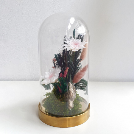 Aranjamente plante stabilizate - Aranjament floral plante stabilizate Cupolă flori stabilizate albe