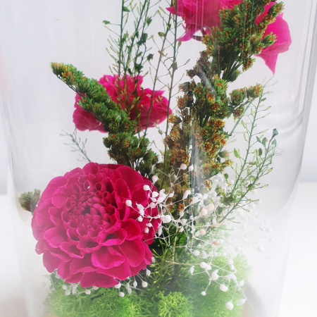 Aranjament floral plante stabilizate Cupolă flori stabilizate fucsia [1]