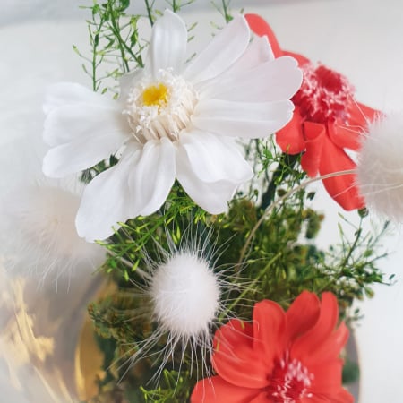 Aranjamente plante stabilizate - Aranjament floral plante stabilizate Cupolă flori stabilizate portocalii