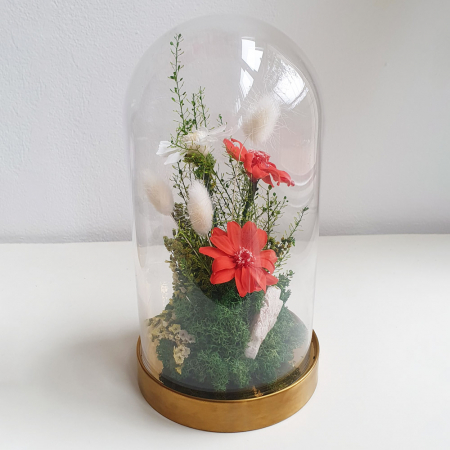 Aranjament floral plante stabilizate Cupolă flori stabilizate portocalii [2]