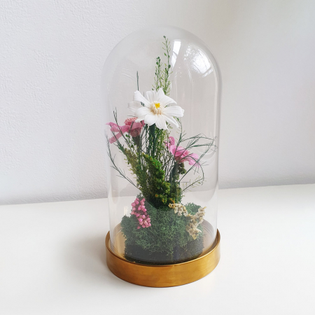 Aranjamente plante stabilizate - Aranjament floral plante stabilizate Cupolă flori stabilizate roz