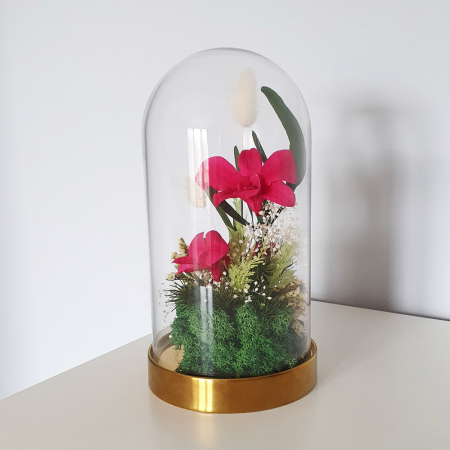 Aranjamente plante stabilizate - Aranjament floral plante stabilizate Cupolă orhidee stabilizate magenta