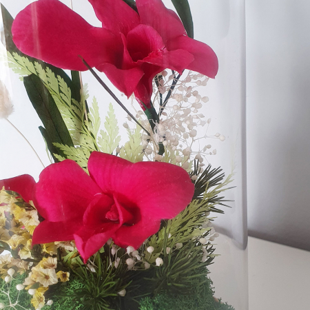 Aranjament floral plante stabilizate Cupolă orhidee stabilizate magenta [1]