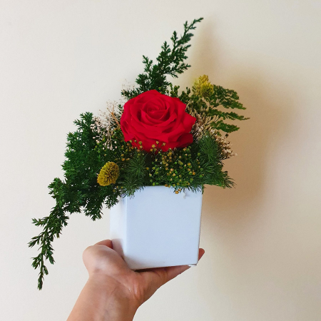 Aranjament floral plante stabilizate Sculptural trandafir roșu nemuritor [4]
