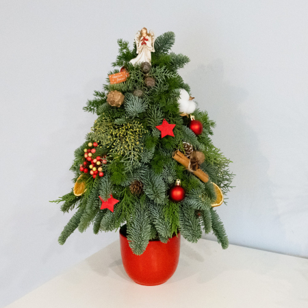 Decorațiuni pentru Sărbători - Bradut natural decorativ Craciun in vas ceramic