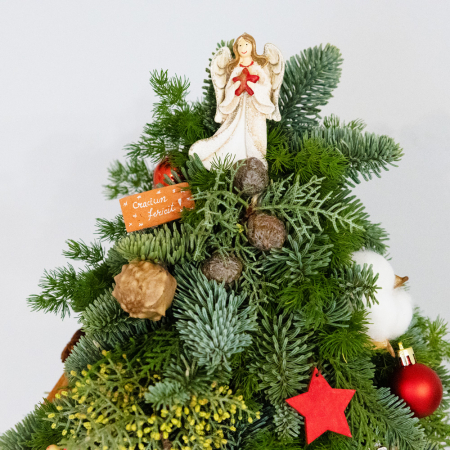 Bradut natural decorativ Craciun in vas ceramic [2]