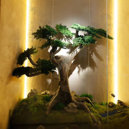 Panouri decorative cu licheni - Copac cu frunzis natural stabilizat