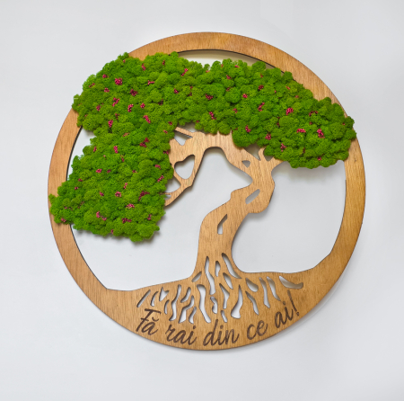 Aranjamente plante stabilizate - Copacul vietii "Fa rai din ce ai", 60 cm