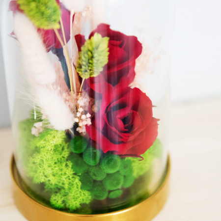 Aranjament floral plante stabilizate Cupolă trandafiri criogenați DecoTerrarium [2]