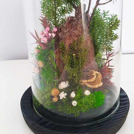 Aranjament floral plante stabilizate Cupolă peisaj stâncos DecoTerrarium [3]