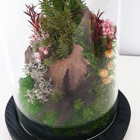 Aranjament floral plante stabilizate Cupolă peisaj stâncos DecoTerrarium [1]