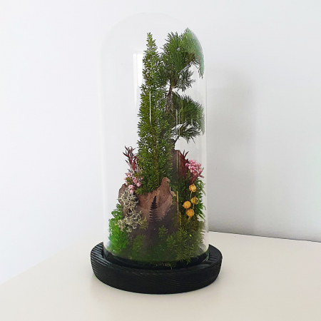 Aranjament floral plante stabilizate Cupolă peisaj stâncos DecoTerrarium [4]
