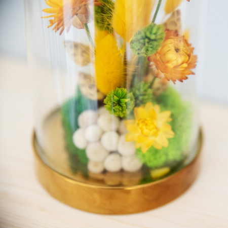 Aranjament floral plante stabilizate Cupolă DecoTerrarium [2]