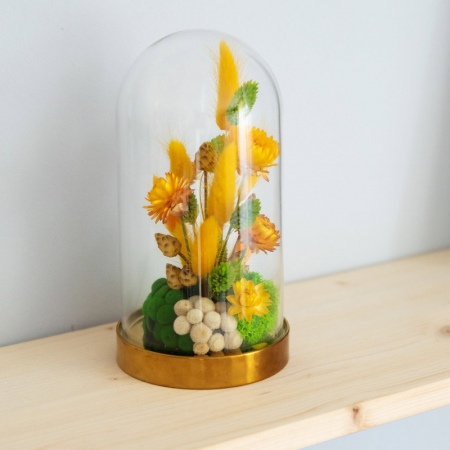 Aranjament floral plante stabilizate Cupolă DecoTerrarium [1]