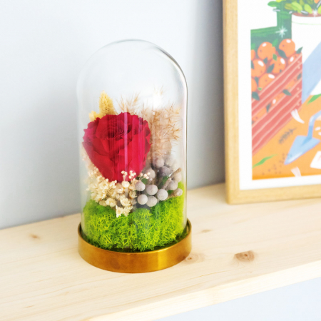 Aranjamente plante stabilizate - Aranjament floral plante stabilizate Cupolă trandafir roșu criogenat DecoTerrarium