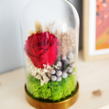 Aranjament floral plante stabilizate Cupolă trandafir roșu criogenat DecoTerrarium [2]