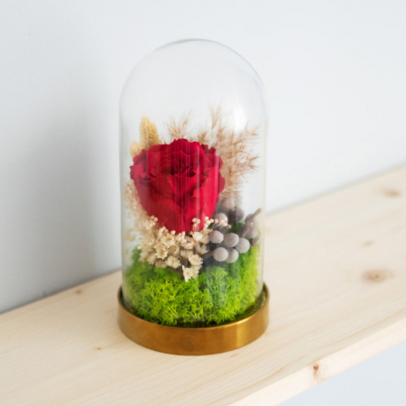 Aranjament floral plante stabilizate Cupolă trandafir roșu criogenat DecoTerrarium [1]