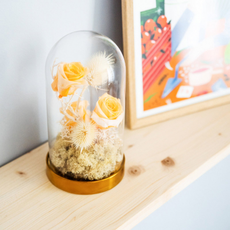 Aranjament floral plante stabilizate Cupolă trandafiri galbeni criogenați DecoTerrarium [3]