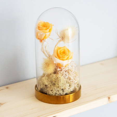 Aranjament floral plante stabilizate Cupolă trandafiri galbeni criogenați DecoTerrarium [2]
