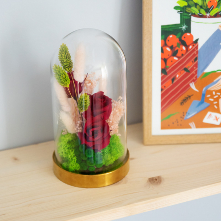 Aranjament floral plante stabilizate Cupolă trandafiri criogenați DecoTerrarium [3]