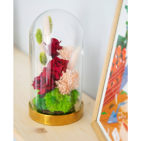 Aranjament floral plante stabilizate Cupolă trandafiri criogenați DecoTerrarium [1]