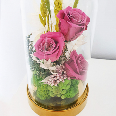 Aranjament floral plante stabilizate Cupolă trandafiri roz criogenați [1]