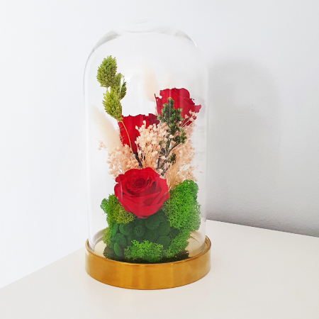 Aranjament floral plante stabilizate Cupolă trandafiri criogenați DecoTerrarium [4]