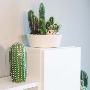 Terariu în vas de ceramică colecție cactuși DecoTerrarium [2]