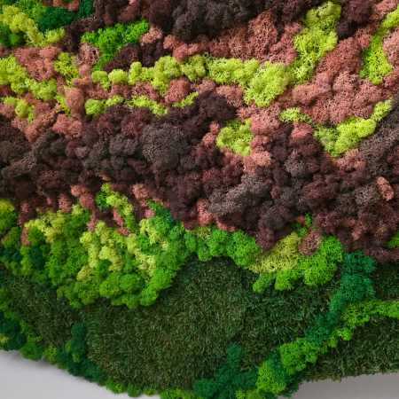 Harta geografică  a României din licheni şi muşchi , dimensiune 140x100 cm [2]