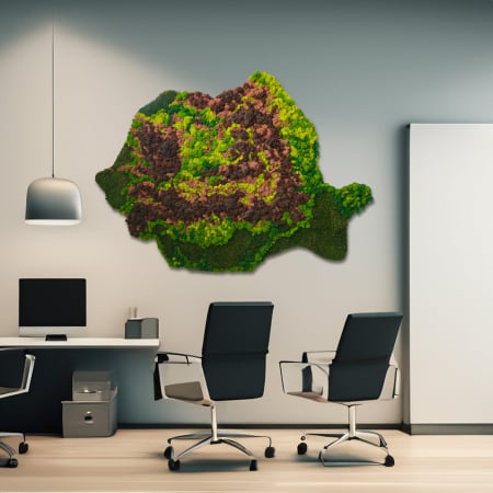 Panouri decorative cu licheni - Harta geografică  a României din licheni şi muşchi , dimensiune 140x100 cm