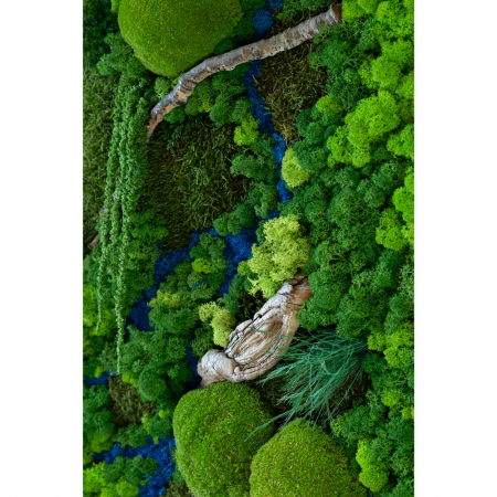 Panou decorativ cu licheni "Peisaj Delta" 72x52 cm [5]