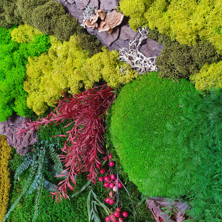 Panou vegetal cu mușchi, licheni si elemente naturale 72×52cm [2]