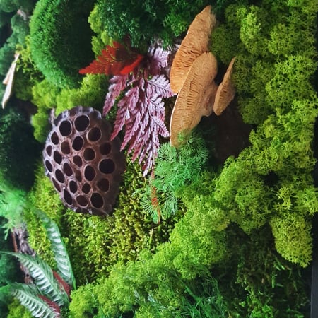 Panou decorativ cu licheni "Peisaj pădure" DecoTerrarium [1]