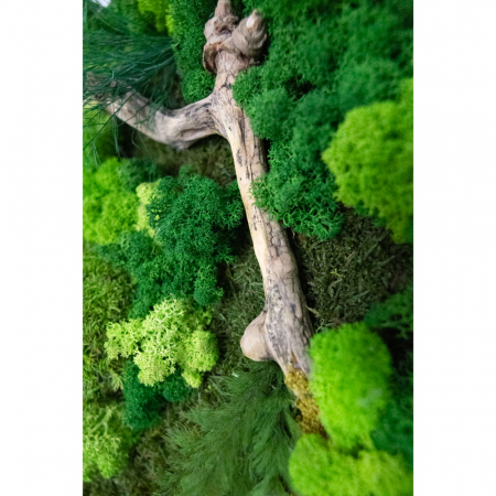 Panou decorativ cu licheni si plante stabilizate peisaj "Padure" 72x52 cm [3]