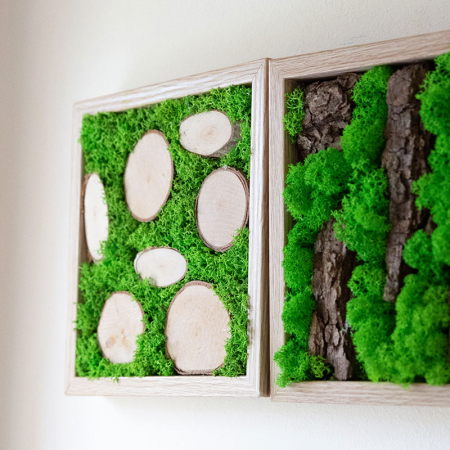 Panouri decorative modulare cu licheni DecoTerrarium [1]