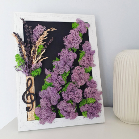 Aranjamente plante stabilizate - Tablou cu licheni stabilizați "Câmp lavandă" DecoTerrarium
