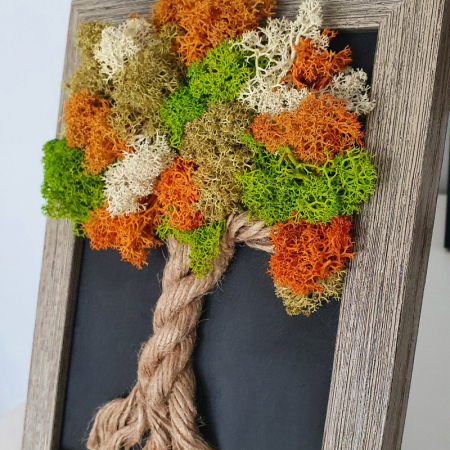 Tablou cu licheni stabilizați "Copăcel de toamnă" DecoTerrarium [1]