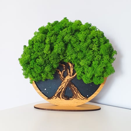 Aranjamente plante stabilizate - Tablou cu licheni stabilizați "Copacul vieții sub cer instelat"
