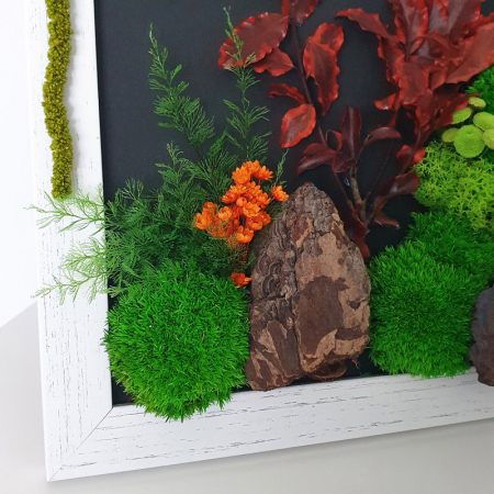 Tablou cu licheni stabilizați "Pădure" DecoTerrarium [1]