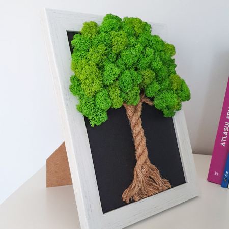 Tablou cu licheni stabilizați "Copăcel verde" DecoTerrarium [1]