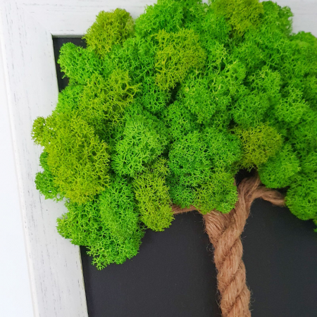 Tablou cu licheni stabilizați "Copăcel verde" DecoTerrarium [2]