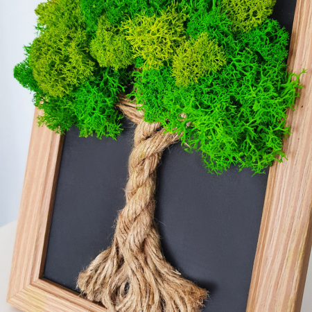 Tablou cu licheni stabilizați "Copăcel de primăvară" DecoTerrarium [2]