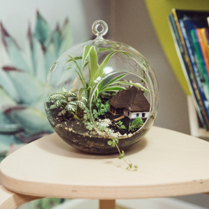 Terariu în vas de sticlă deschis "Căsuța bunicii" DecoTerrarium [5]