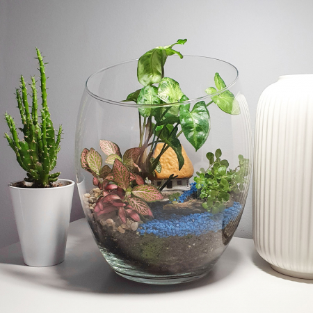Terariu în vas de sticlă deschis "Colț de natură" DecoTerrarium [1]