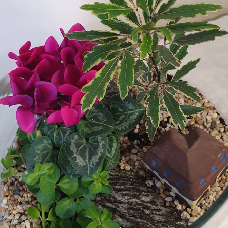 Terariu în vas de sticlă deschis "Peisaj de basm" DecoTerrarium [1]