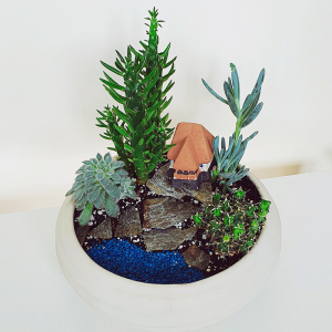 Terariu în vas de ceramică "Peisaj de munte" DecoTerrarium