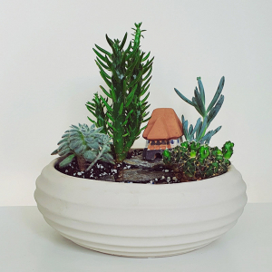 Terariu în vas de ceramică "Peisaj de munte" DecoTerrarium [1]